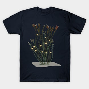 Ocotillo Xmas Lights Desert Plant T-Shirt